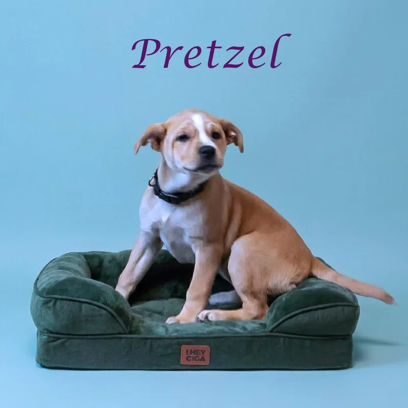 Pretzel D thumbnail 5