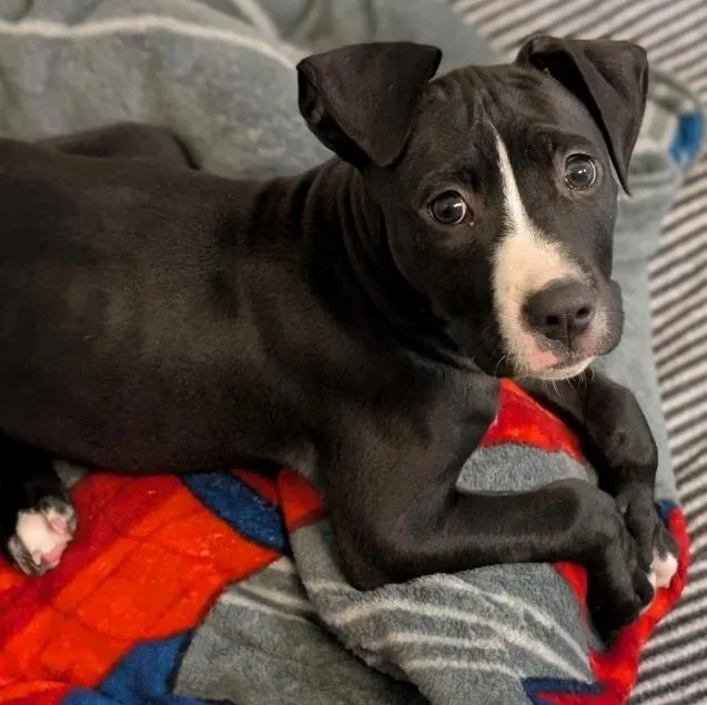 Danielle thumbnail 2