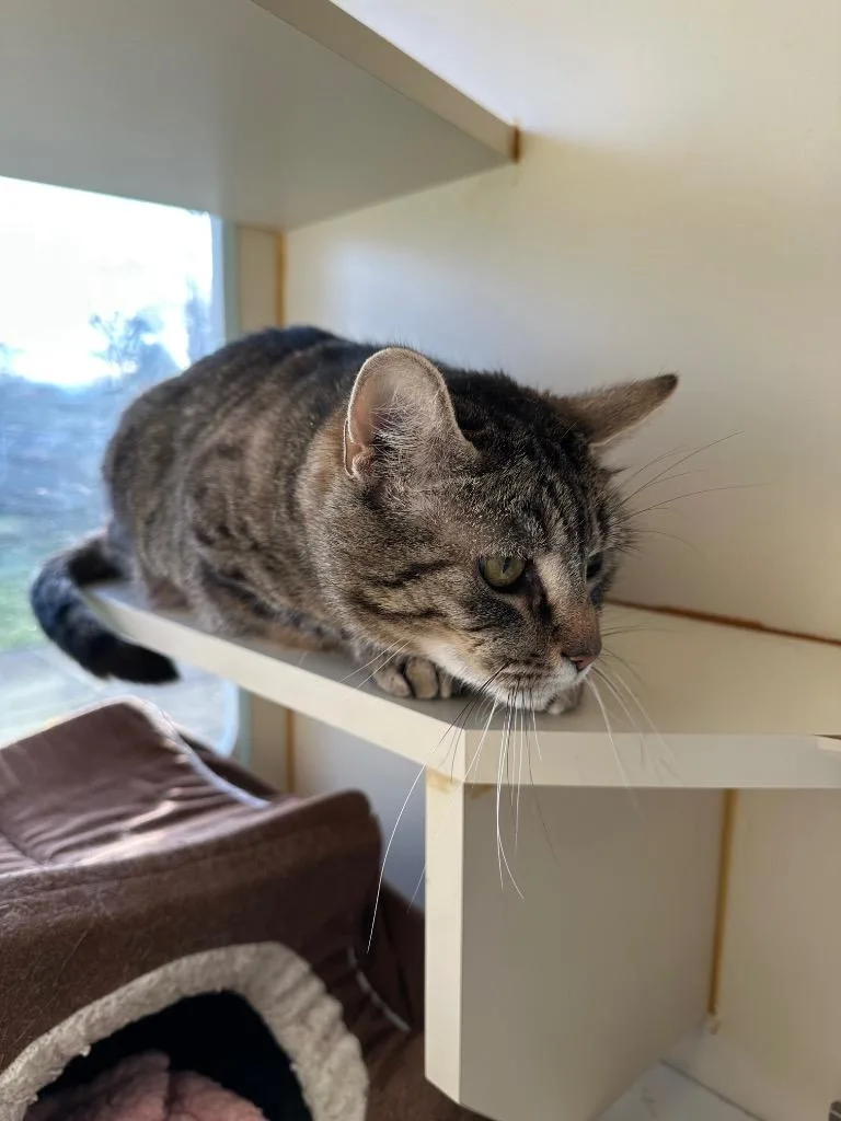 Catherine O' Hara  thumbnail 2