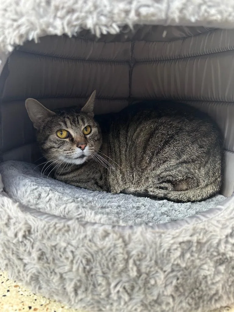 Catherine O' Hara  thumbnail 3