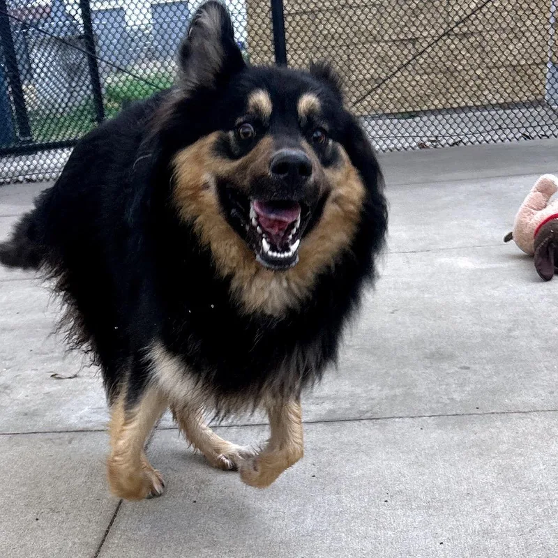 Midnight thumbnail 2