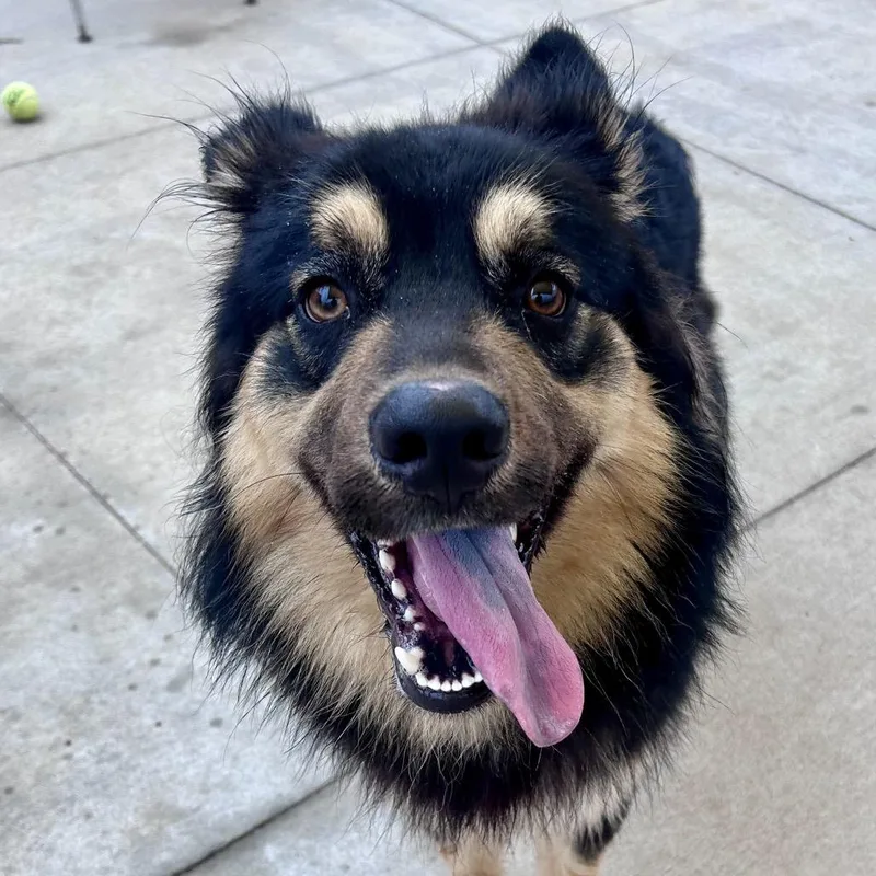 Midnight thumbnail 3