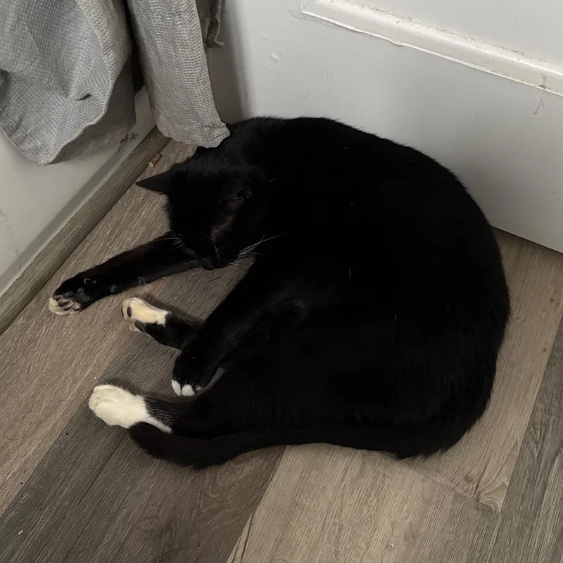 Minnie The Lovebug thumbnail 3