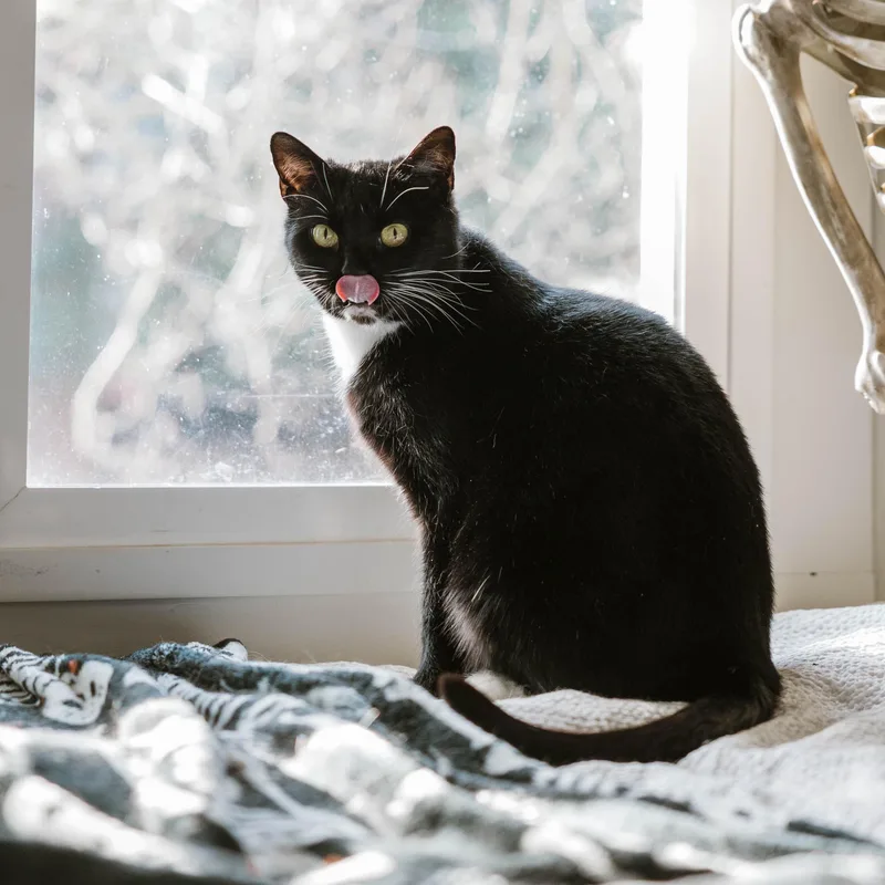 Minnie The Lovebug thumbnail 5