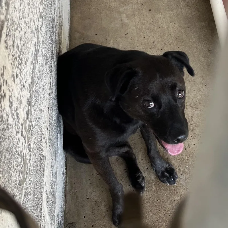 Flatbread thumbnail 2