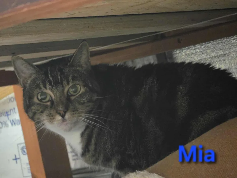 Mia & Sooty thumbnail 3