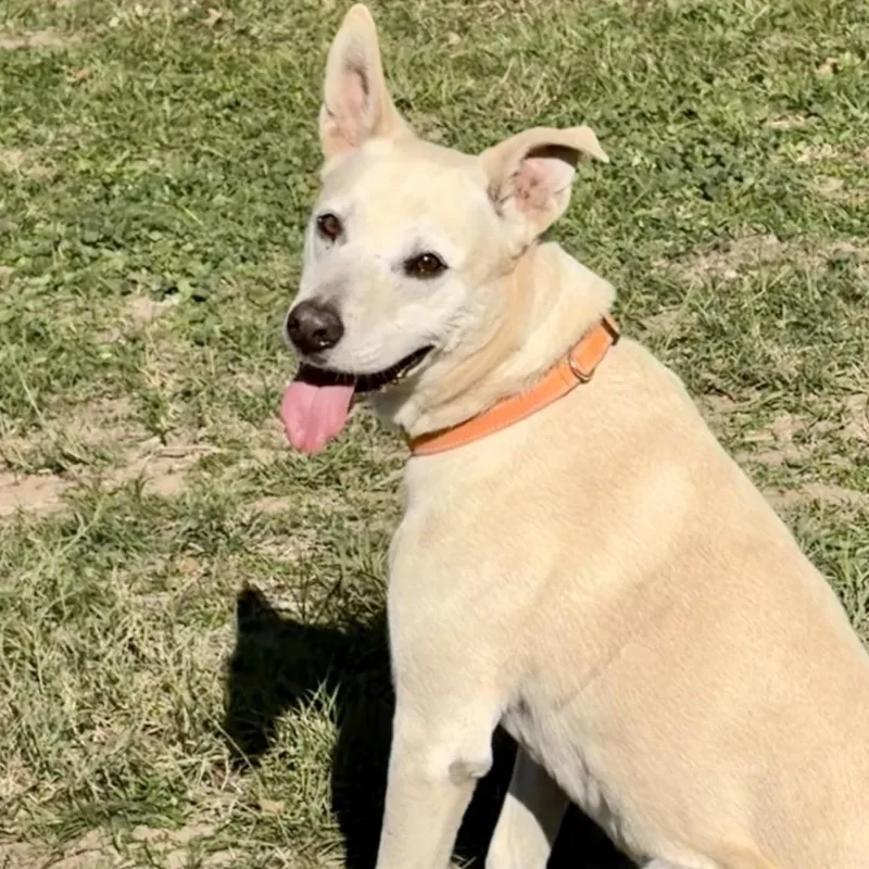 Max Garrison thumbnail 2