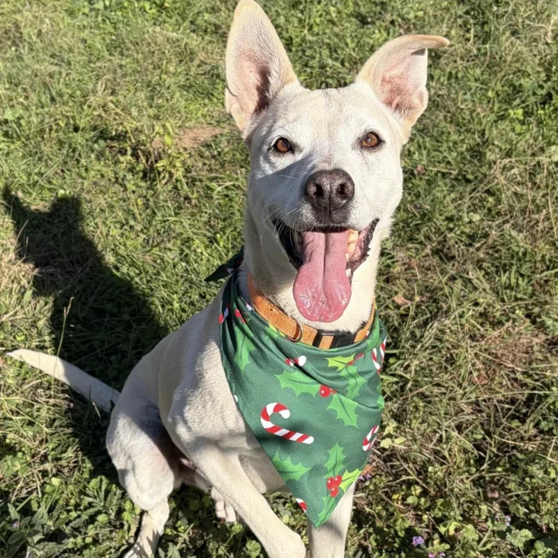 Max Garrison thumbnail 3