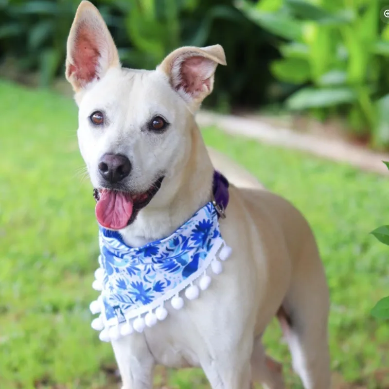 Max Garrison thumbnail 4