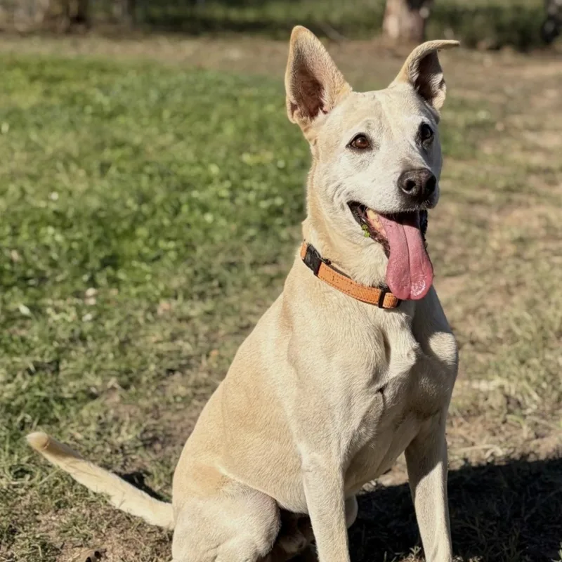 Max Garrison thumbnail 5