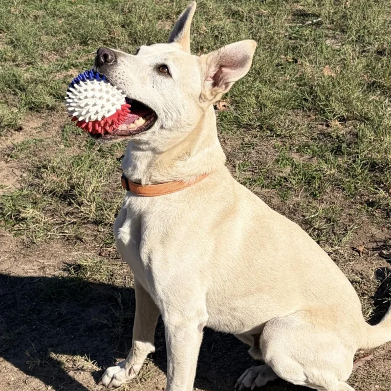 Max Garrison thumbnail 6