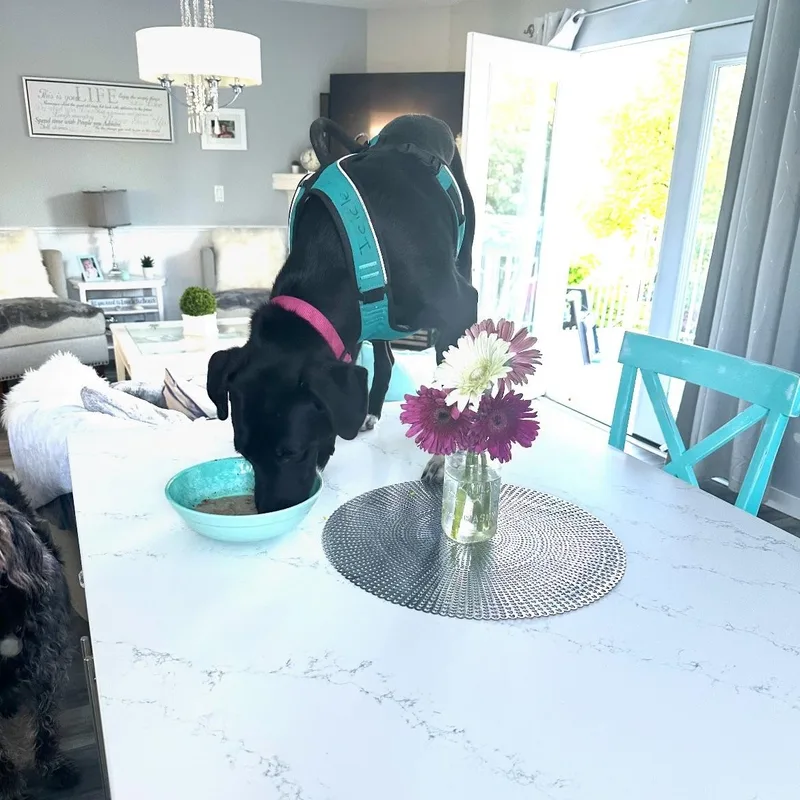 June Bug thumbnail 3