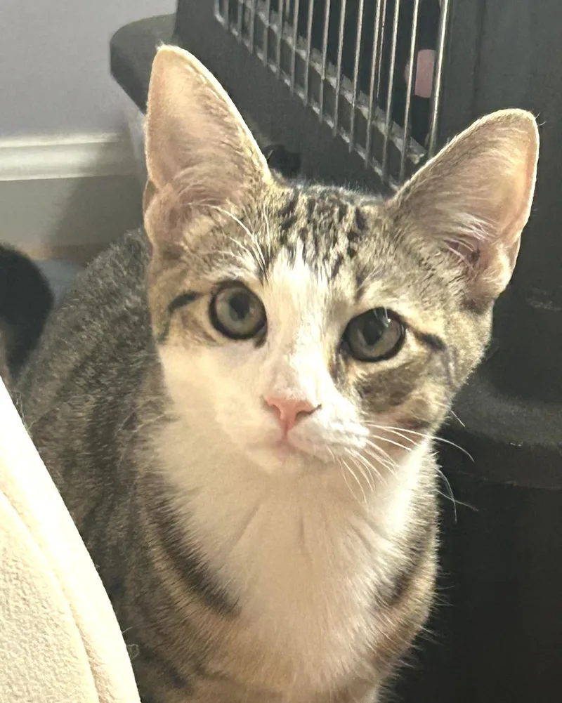 Caru And Nova thumbnail 6