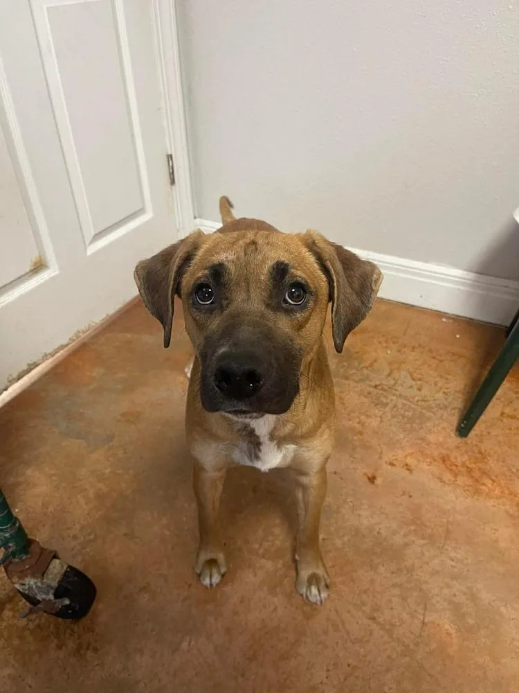 Pryncess thumbnail 3