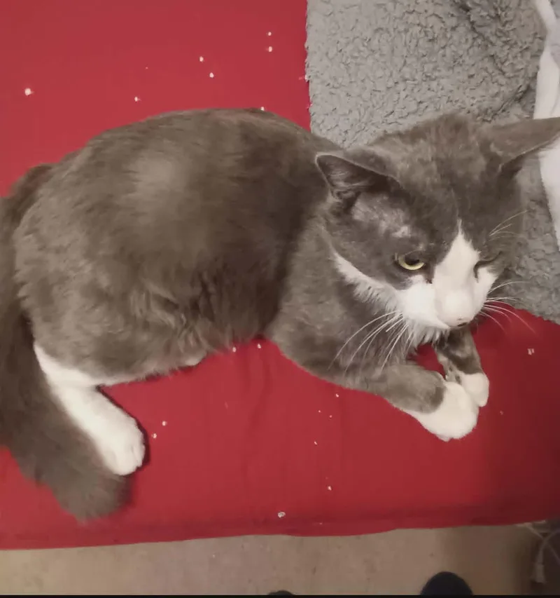 Zuri Wood thumbnail 2