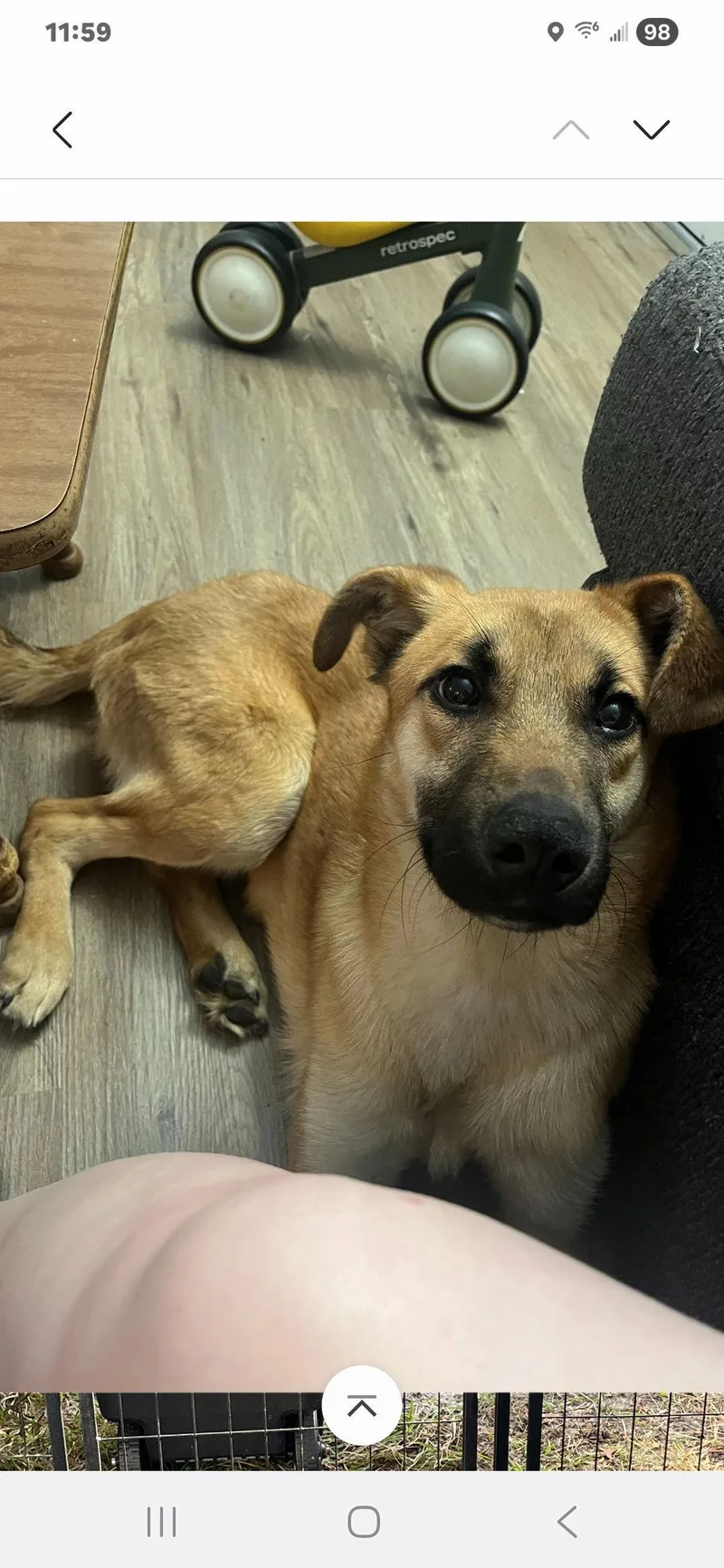 Maverick thumbnail 2