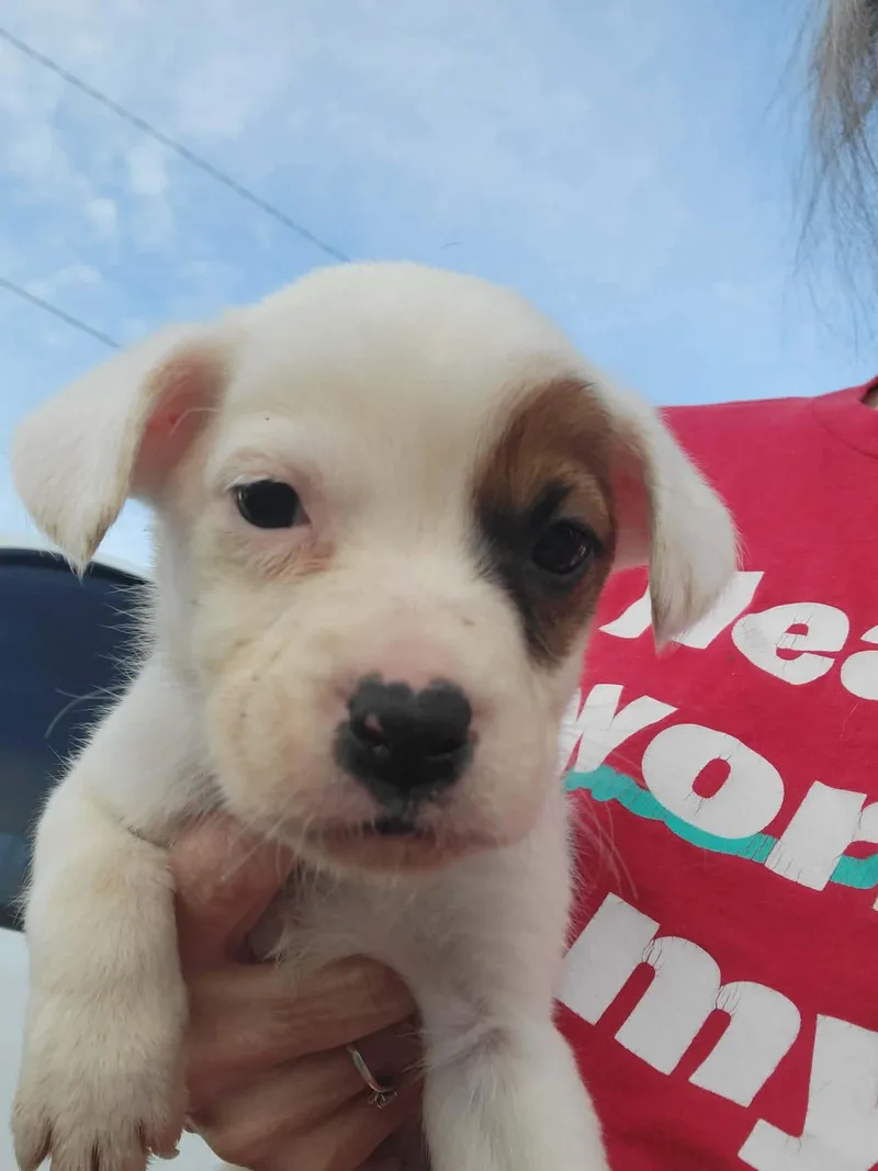 Billy Jo thumbnail 3