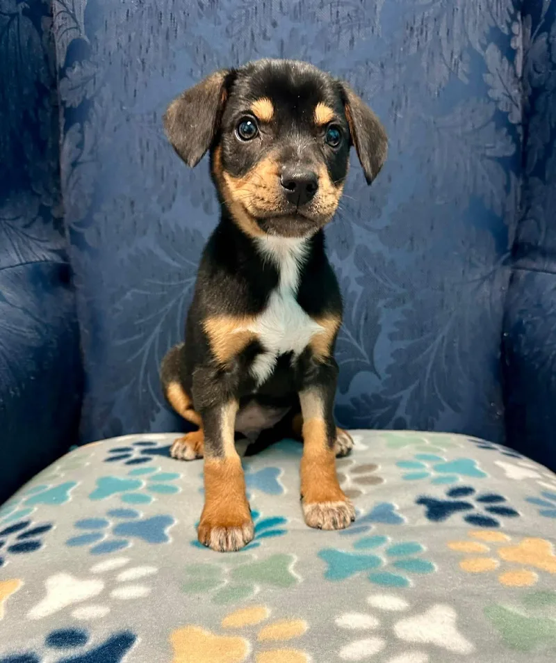 Conway James thumbnail 3