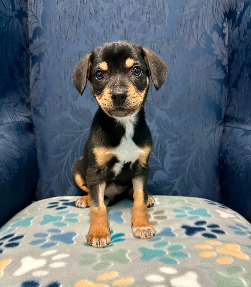 Conway James thumbnail 4