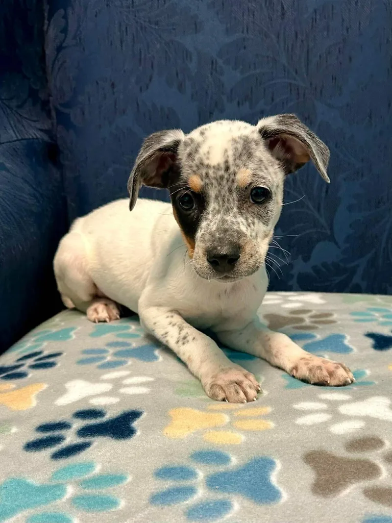 Loretta Grace thumbnail 3