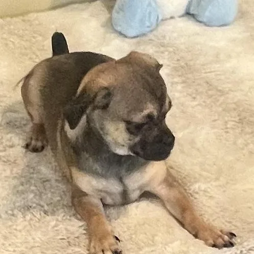 Jelly Bean! Sweet Baby! thumbnail 2