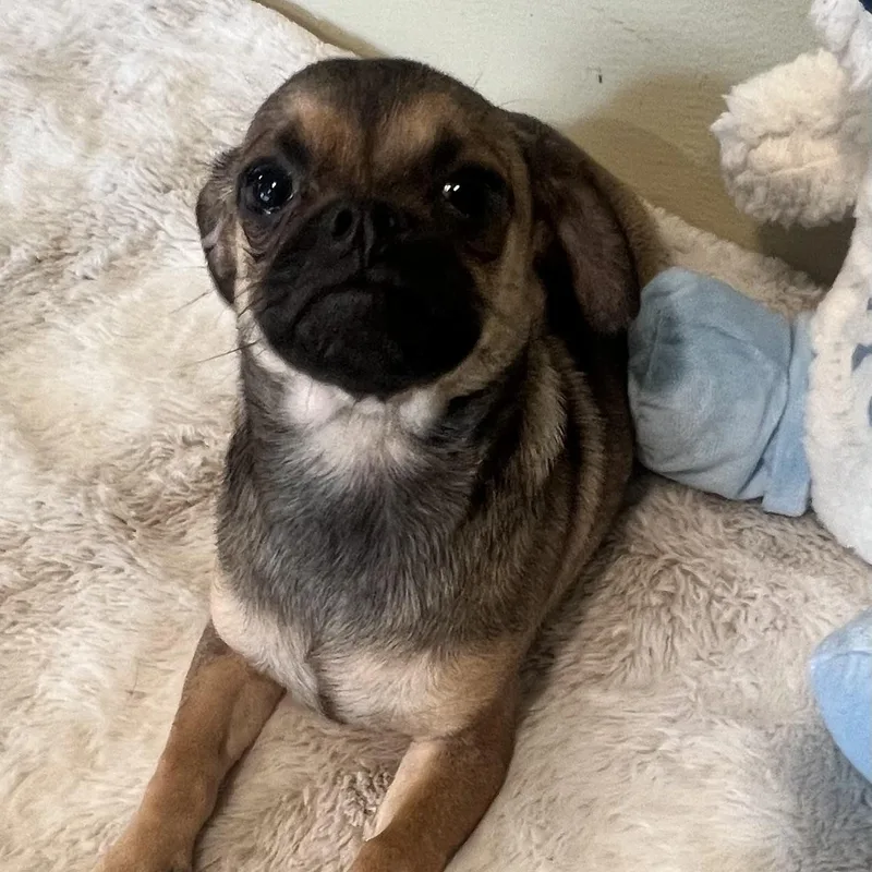 Jelly Bean! Sweet Baby! thumbnail 3