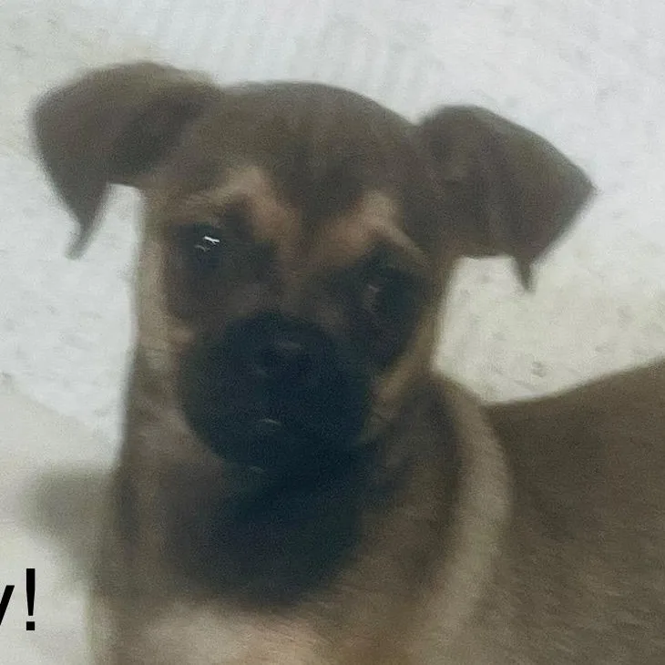 Jelly Bean! Sweet Baby! thumbnail 4