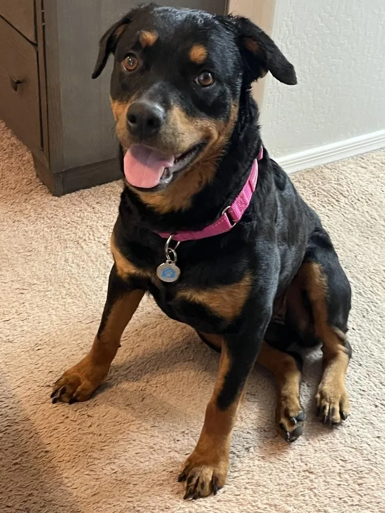 Juliette thumbnail 3