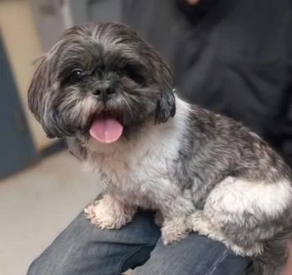 Molly No Longer Taking