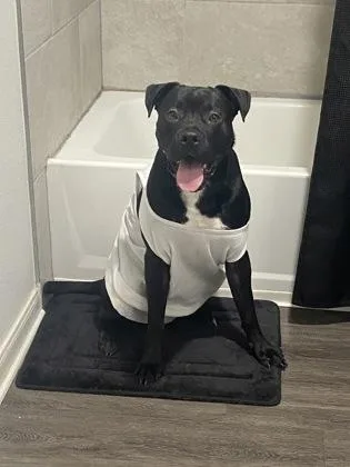 Midnight thumbnail 2