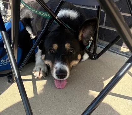 Pancakes thumbnail 3