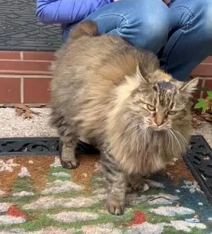 Harietta thumbnail 2