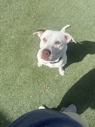 Sprinkles thumbnail 3