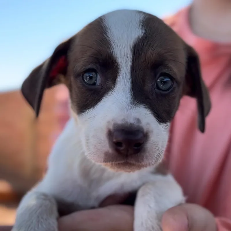 Sadie Fka Sibby thumbnail 2