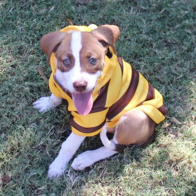 Sadie Fka Sibby thumbnail 3