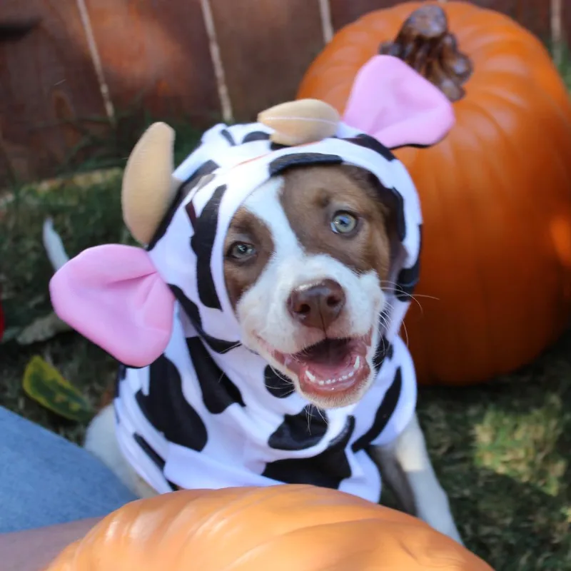 Sadie Fka Sibby thumbnail 4