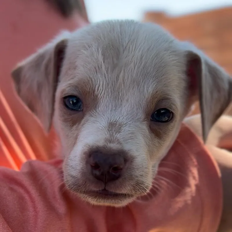 Sheldonmr. Grumps thumbnail 2