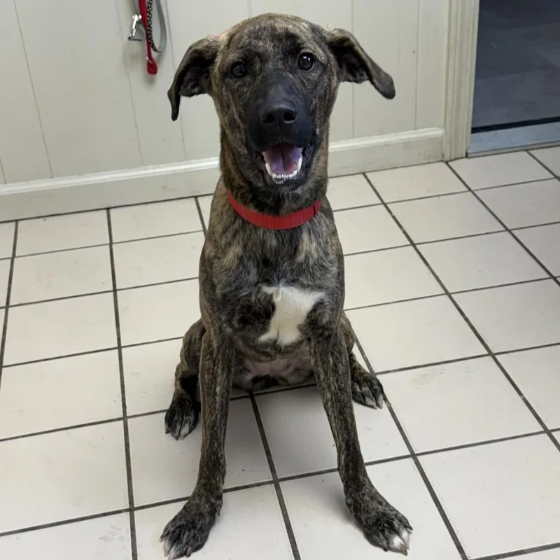 Athena Grace thumbnail 2