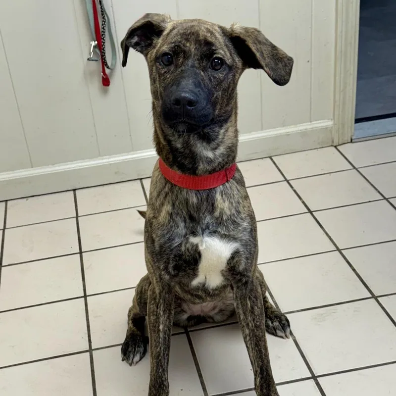 Athena Grace thumbnail 3