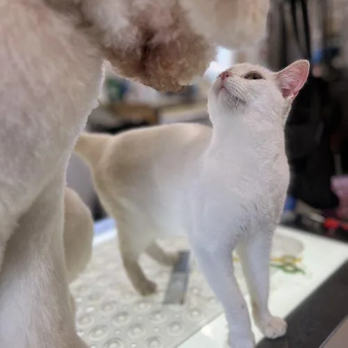 Collette thumbnail 2