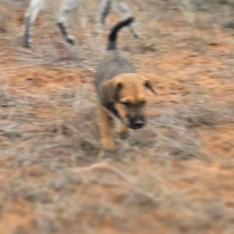 Hazelmae thumbnail 3