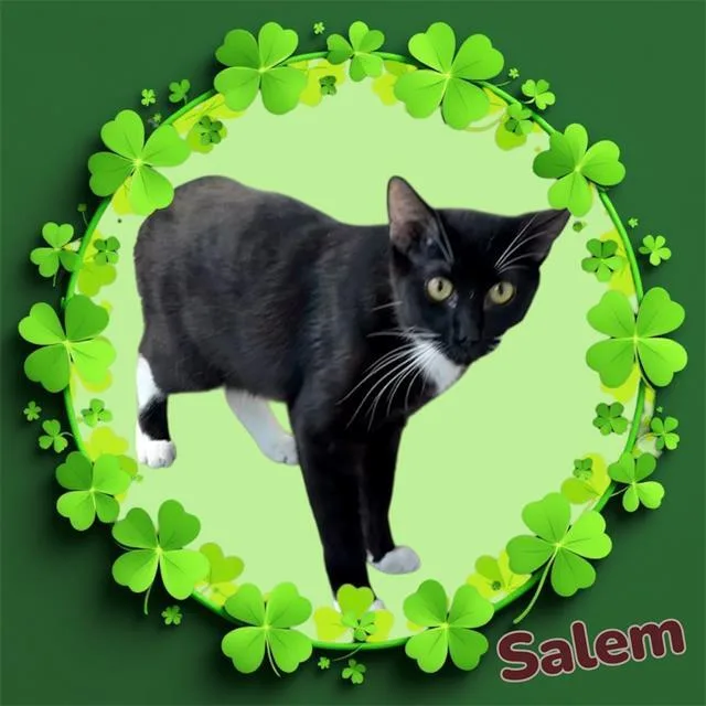 Salem