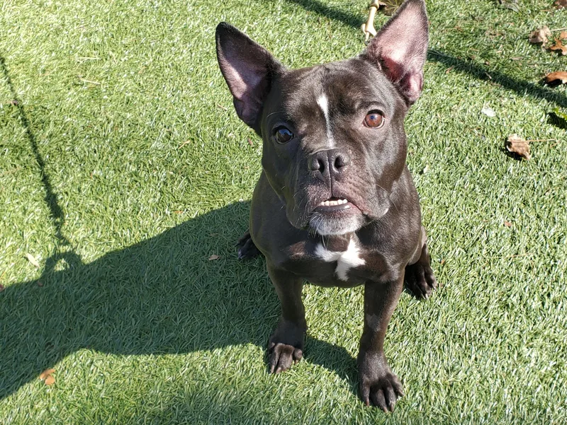 Penelope thumbnail 3