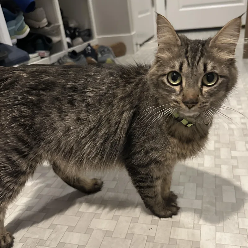 Momma Lola thumbnail 2