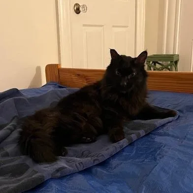 Low Sodium thumbnail 2