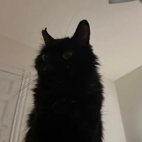 Low Sodium thumbnail 3