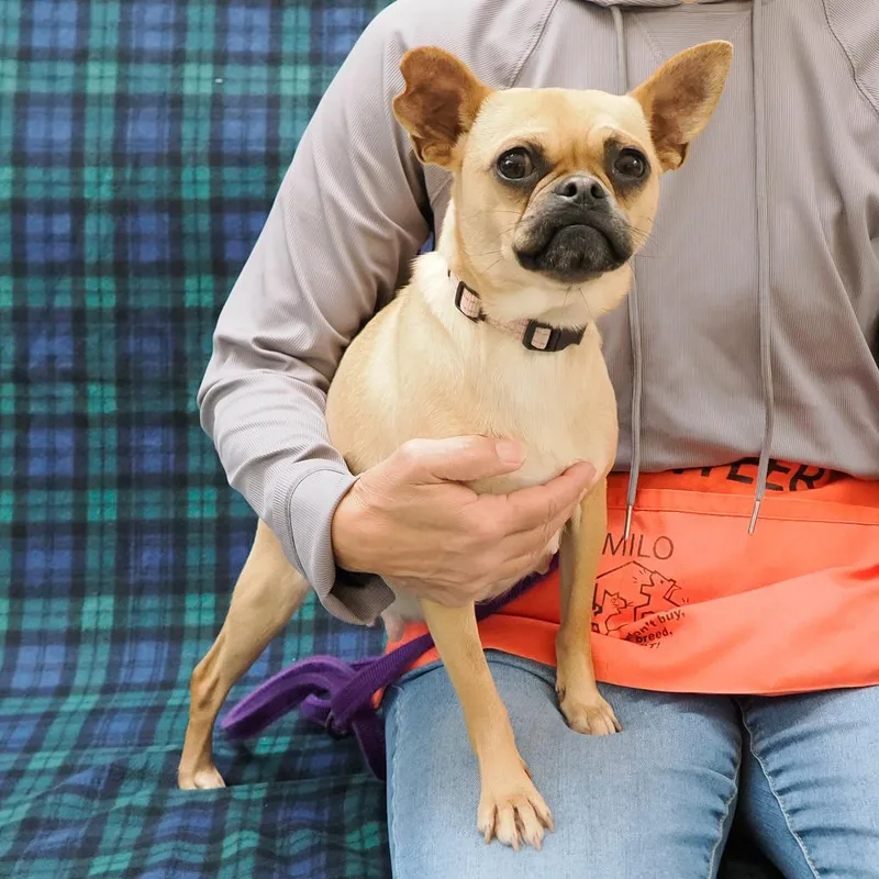 Rosie Posey thumbnail 2