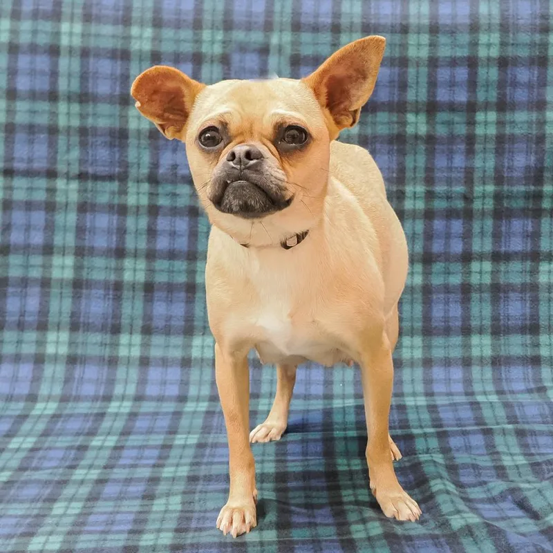 Rosie Posey thumbnail 3