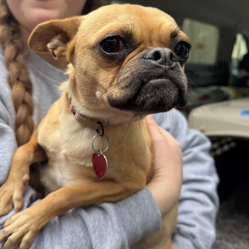 Rosie Posey thumbnail 4