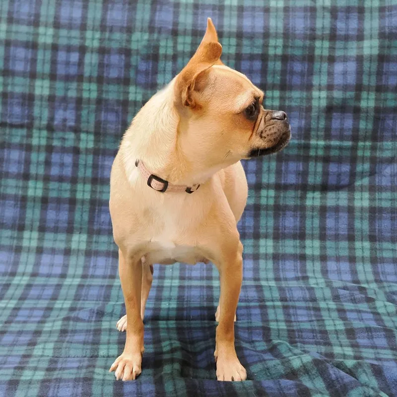 Rosie Posey thumbnail 5